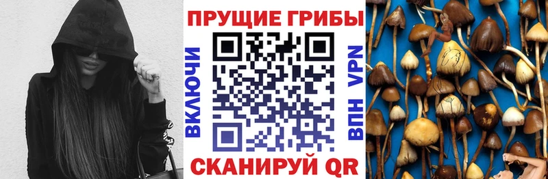 Купить закладки  Петрозаводск  Галлюциногенные грибы MAGIC MUSHROOMS 
