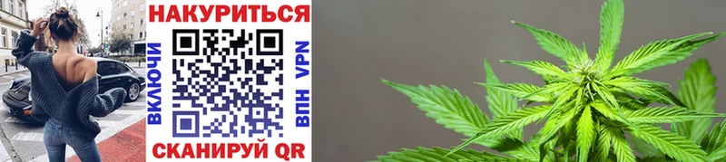 Купить где  Петрозаводск  Шишки марихуана OG Kush 